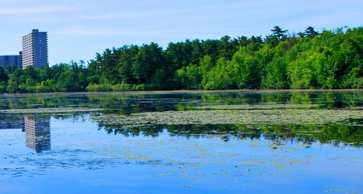 Mud Lake