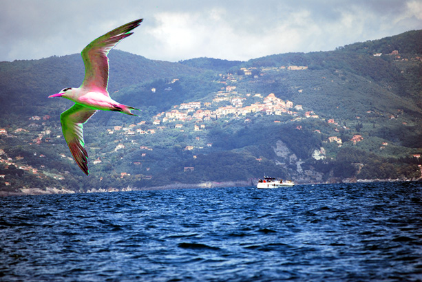 Gulf of La Spezia