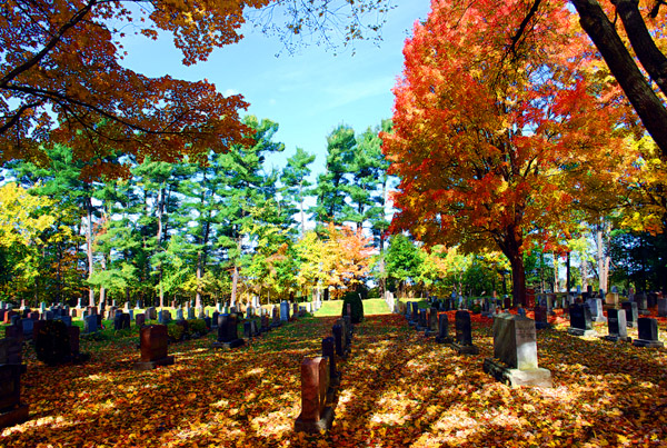 cemetery in autumn