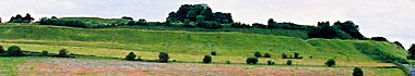 Old Sarum site