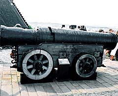Artillery; photo &copy; S. Alsford