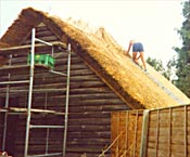 thatched roof