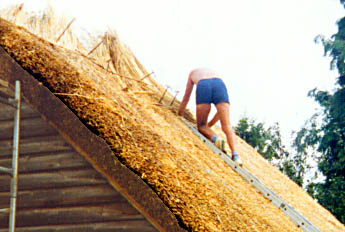 thatching