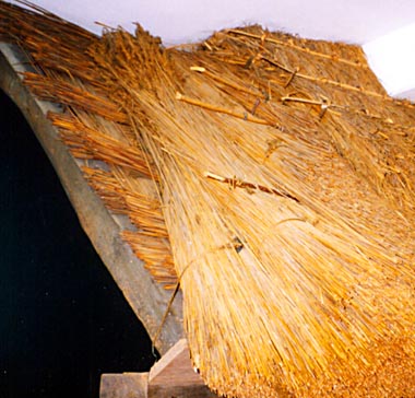 thatching exhibit
