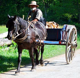 cart carrying firewood